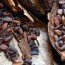 Eurochocolate: cioccolato e non solo