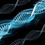 La prova del DNA all’interno dell’Ordinamento giuridico italiano