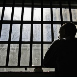 L’importanza della distinzione fra categorie della popolazione penitenziaria al fine dell’applicazione del trattamento