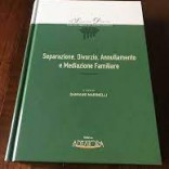 I Saggi del Diritto in diretta 29.1.21 ospite Angela Allegria